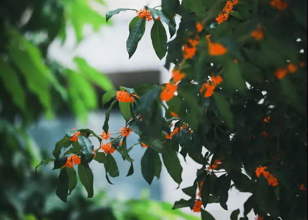 wep001.jpg wep001.jpg